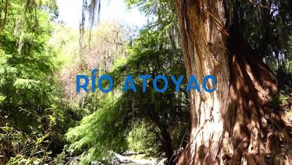 El largo camino de purificación del Río Atoyac | Conexión Milenio