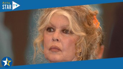 Brigitte Bardot maman de Nicolas, qu'elle ne voulait pas garder : confidences sur leur relation très