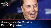 Musk promete analisar casos de brasileiros banidos do Twitter