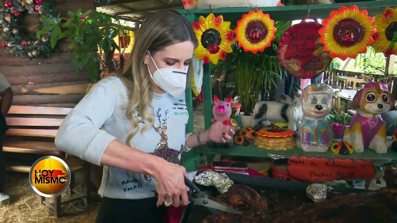 Noticieros Hoy Mismo regala dos lechones a familias hondureñas necesitadas