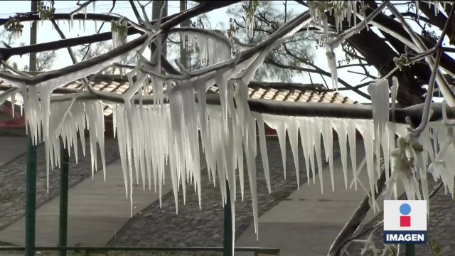 Temperaturas congelantes en Chihuahua y Coahuila; habilitan albergues
