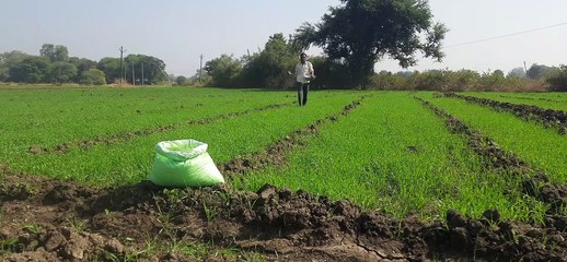 अवैध हथियारों की खरीद-फरोख्त का आरोपी गिरफ्ता