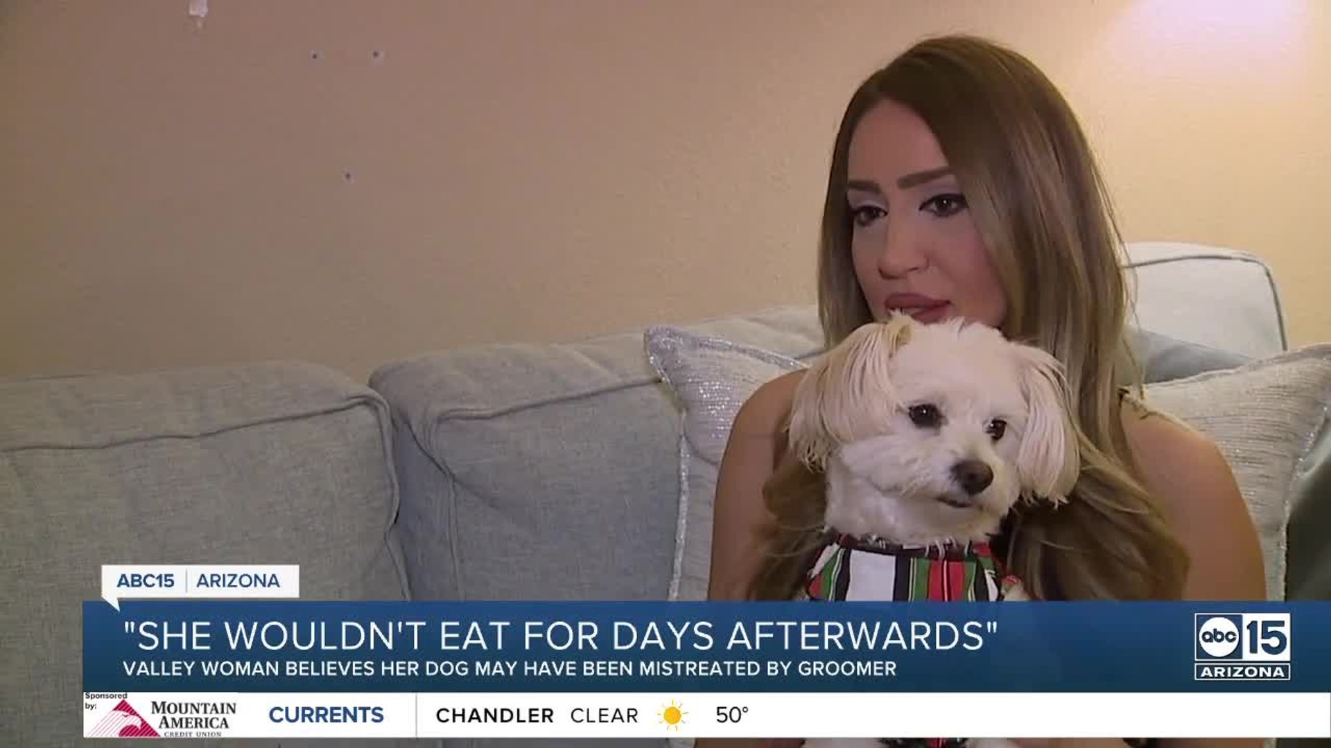 ⁣Dog owner speaks out against Phoenix groomer accused of mistreatment