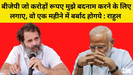 Bharat Yatra पहुंची दिल्ली, Rahul बोले - BJP ने मुझे बदनाम करने के लिए 8 साल करोड़ो रूपए खर्च कर दिए