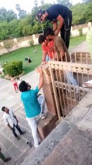 आप ऐसा कभी देखा नहीं ही गा  | आप इस वीडियो को पूरा देखे