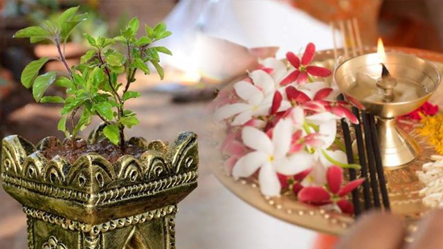 Tulsi Pujan Diwas 2022 : तुलसी पूजन दिवस 2022 | तुलसी पूजा विधि | Tulsi Puja Kaise Kare | Boldsky
