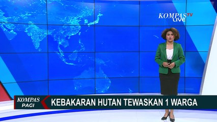 Kebakaran Hutan di Kota Vina del Mar, 1 Orang Tewas dan 600 Rumah Terdampak!