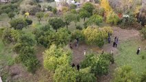 Kozan Belediyesi'nden halka açık narenciye bahçesinde ilk hasat