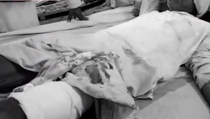 गुना : दहाड़ते हुए आये शेर ने बृद्ध पर बोला हमला, कुत्ते ने बचाई जान