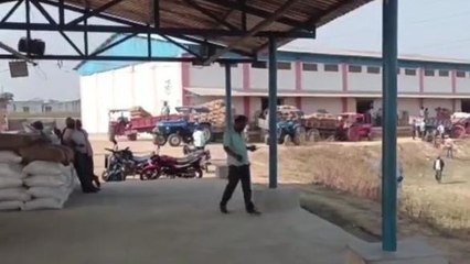 सिंगरौली: अव्यवस्थाओं के बीच की जा रही धान खरीदी
