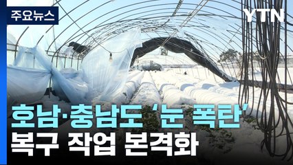 눈폭탄 맞은 호남·충남 복구 작업 본격화 / YTN