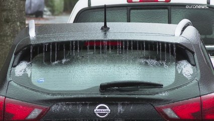 Coupures d'électricité, transports chaotiques: les dégâts d'une tempête "historique"