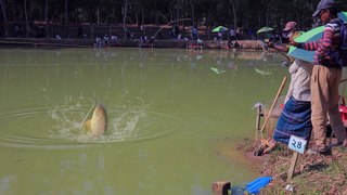 Awesome Fishing by An Aged Angler On Village Area Rohu Fishing Video  Rohu Fish Catching