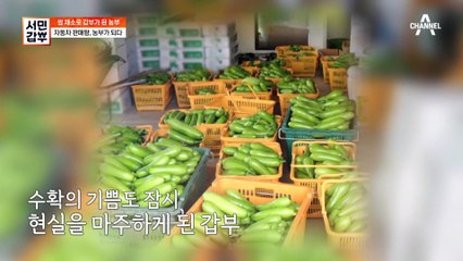 '자동차 판매왕'에서 첫 수확 '570원' 농부가 되기까지..! 갑부의 굴곡진 인생