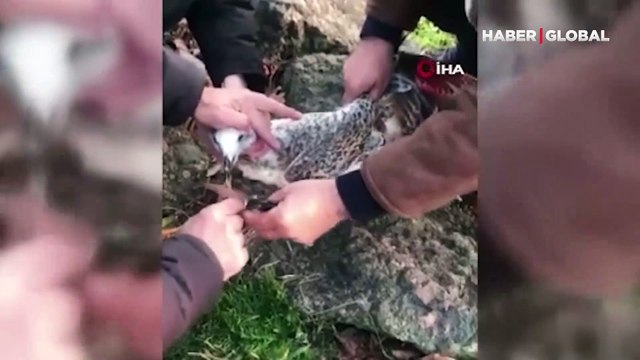 Çaresizce ortalıkta dolaşıyordu... Ağzına ip takılan martının yardımına polisler koştu