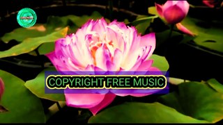 Copyright free Indian instrumental music