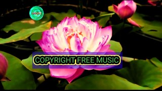 Royalty free indian instrumental background music for content creators