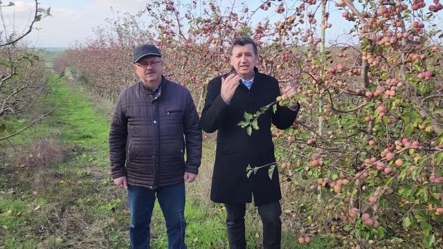 Okan Gaytancıoğlu, Meyve Bahçelerinin Yabancılara Vatandaşlık İçin Satıldığını İleri Sürdü: Hile Var, Üç Kağıt Var, Vatandaşlık Bu Şekilde Veriliyor