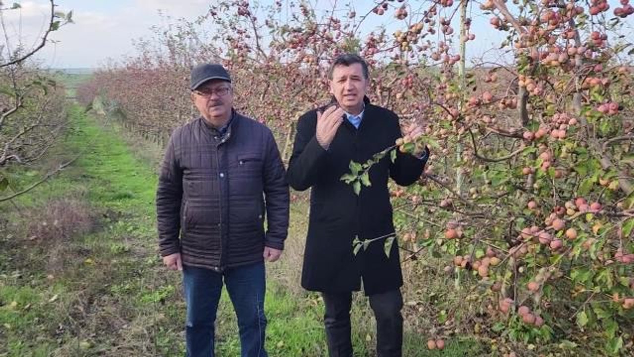 Okan Gaytancıoğlu, Meyve Bahçelerinin Yabancılara Vatandaşlık İçin Satıldığını İleri Sürdü: "Hile Var, Üç Kağıt Var, Vatandaşlık Bu Şekilde Veriliyor"