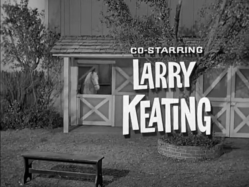 Mister Ed - Se3 - Ep01 HD Watch HD Deutsch