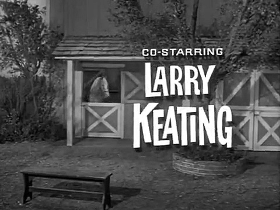 Mister Ed - Se3 - Ep12 HD Watch HD Deutsch