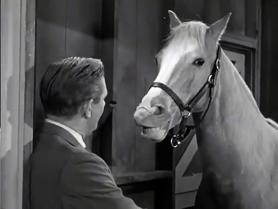 Mister Ed - Se3 - Ep13 HD Watch HD Deutsch