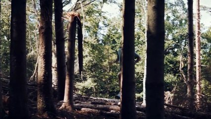 Capitani - Se1 - Ep04 HD Watch HD Deutsch
