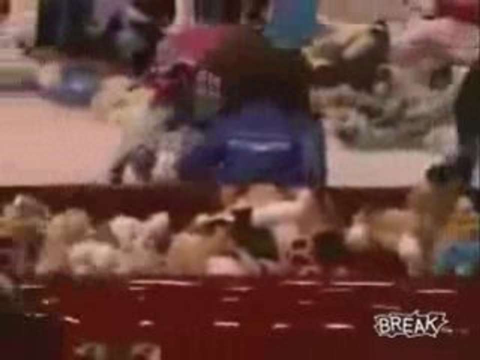 20,000 Stuffed Animals Thrown Onto the Ice at Hockey Game