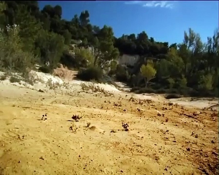 Minuscule - Se5 - Ep02 HD Watch HD Deutsch