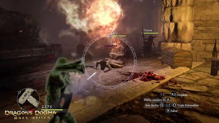 Dragon's Dogma Dark Arisen #90 Biterblack Cebo de carne podrida - canalrol 2022