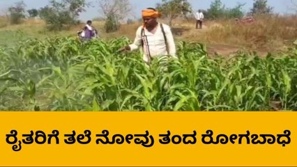 ಗದಗ: ಜೋಳದ ಬೆಳೆಗೆ ಲದ್ದಿಹುಳು ಕಾಟ, ಸಂಕಷ್ಟದಲ್ಲಿ ಅನ್ನದಾತ