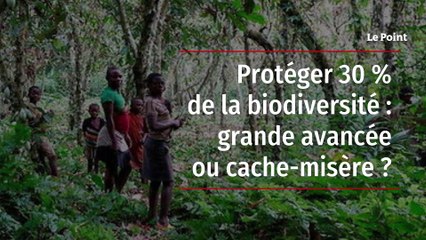 Protéger 30 % de la biodiversité : grande avancée ou cache-misère ?