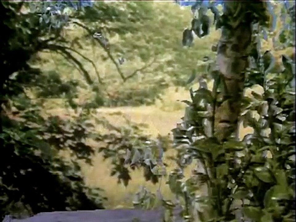 Dark Shadows (1966) - Ep104 HD Watch HD Deutsch