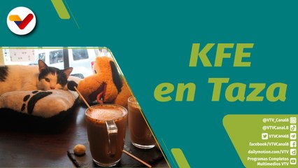 Punto Verde | KFE en Taza lugar que define la cultura de cuidar los animales