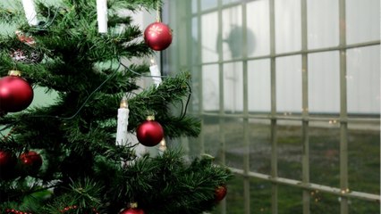 Weihnachtsessen: Dieses Mahl gibt es im Gefängnis