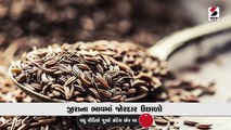 જીરાના ભાવમાં જોરદાર ઉછાળો: જસદણમાં પ્રતિ મણ જીરાનો ભાવ 6,150 બોલાયો