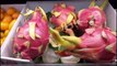 ما هى فاكهة التنين (Dragon Fruit) الزراعة_ مشروع _ فوائد  أو البيتايا (Pitaya)؟(اسرار الزراعة)