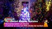 Alemanes baten récord al decorar 444 árboles de navidad en su casa