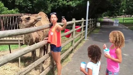 UNEXPECTED Animal ATTACKS!   AFVs Wildest Animal Moments