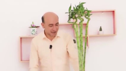 أفضل 7 نباتات منزلية تعيش في الماء بشكل دائم(اسرار الزراعة)