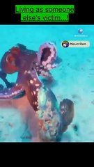 animals attack 2022 living as someone else's victim animals  #trending #shorts