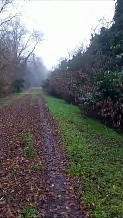 Locate Triulzi, runner stuprata mentre fa jogging