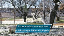 Blanca y fría navidad; onda gélida provocará temperaturas de hasta -15 grados