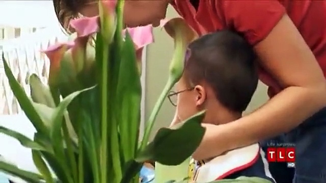 Jon $$ Kate Plus 8 - Se4 - Ep01 HD Watch HD Deutsch