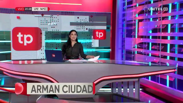 ¿Cómo reconocer a la araña de rincón, cuyo veneno puede llegar a ser letal?