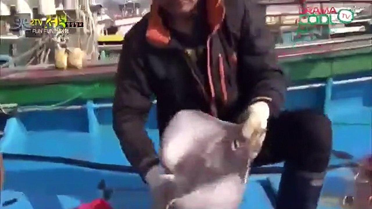 Live Info Show 2 - Ep26 HD Watch HD Deutsch