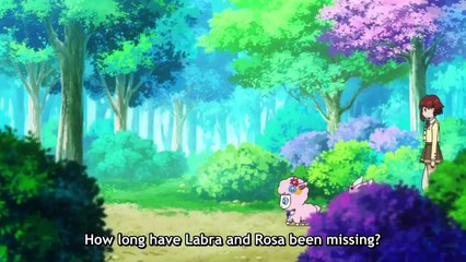 JEWELPET HAPPINESS - Ep13 HD Watch HD Deutsch