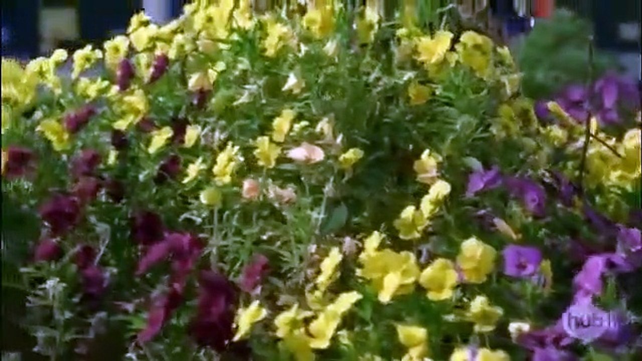 R.L. Stine's The Haunting Hour - Se3 - Ep14 - Terrible Love HD Watch HD Deutsch