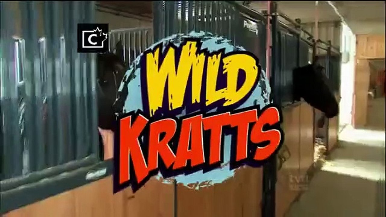 Wild Kratts - Se1 - Ep46 HD Watch HD Deutsch