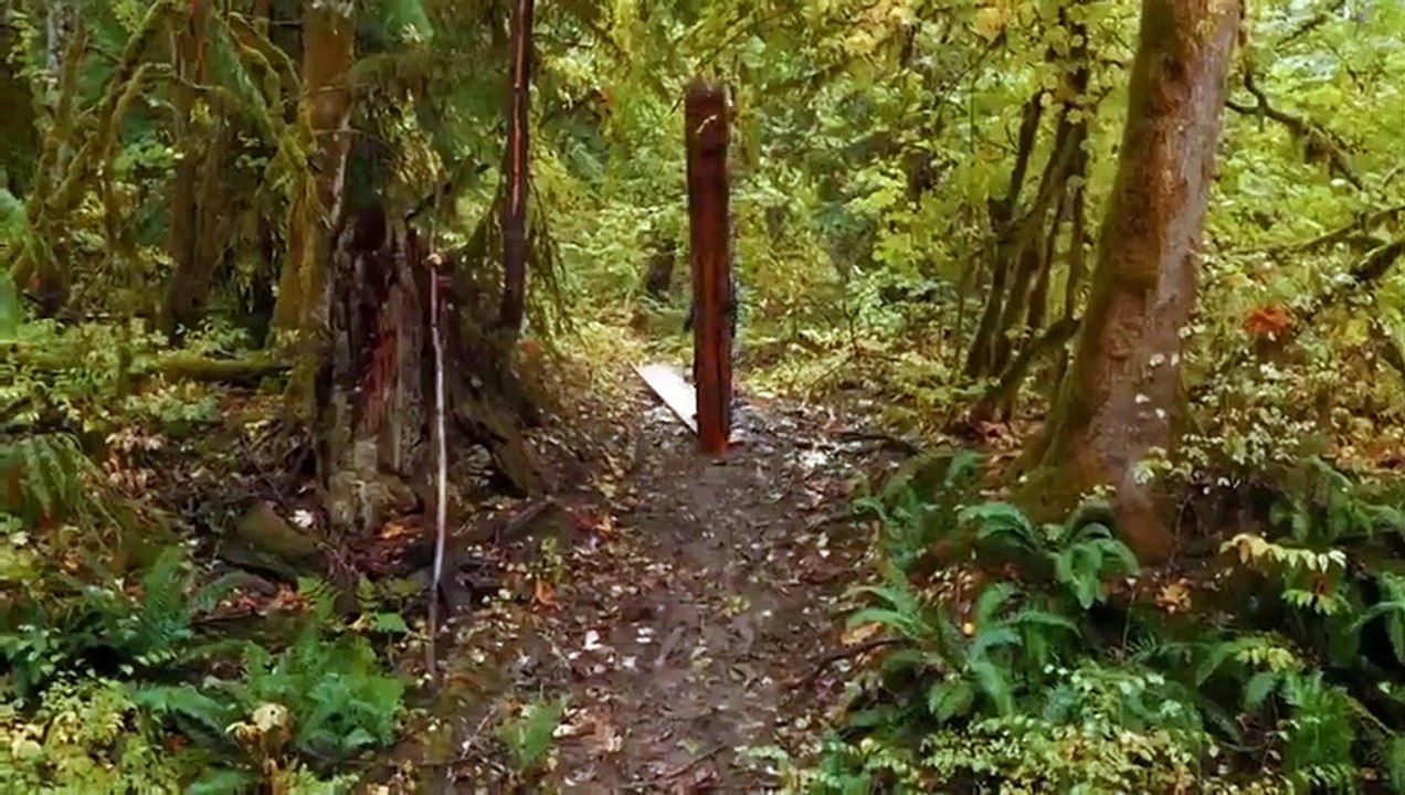 Ultimate Ninja Challenge - Se1 - Ep07 HD Watch HD Deutsch